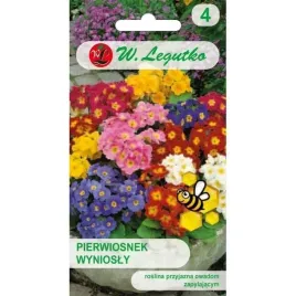pierwiosnek-wyniosly-mix-kolorow-odmian-mieszanka-nasiona-legutko