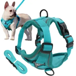 szelki-bezuciskowe-dla-psa-easy-walk-tiny-l-turkus