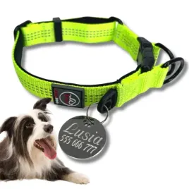 obroza-dla-psa-z-grawerem-rico-30-40cm-m-neon-zolt