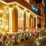 laska-laski-mikolaja-led-lampki-cukierki-girlanda-stan-nowy-kod-producenta-ozdoba-ogrod-ogrodowa-swiateczna-choinkowe