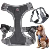 szelki-dla-psa-typu-guard-bezuciskowe-solid-gray-l