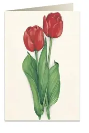karnet-b6-koperta-7517-czerwone-tulipany