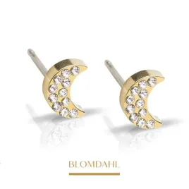blomdahl-kolczyki-hipoalergiczne-brilliance-moon-crystal-6-mm