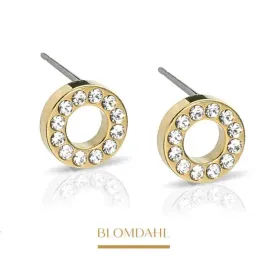 blomdahl-kolczyki-hipoalergiczne-brilliance-puck-hollow-crystal-8-mm