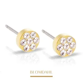 blomdahl-kolczyki-hipoalergiczne-brilliance-plenary-crystal-5-mm