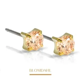 blomdahl-kolczyki-hipoalergiczne-tiffany-cz-gold-5-mm