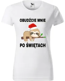 obudzcie-mnie-po-swietach-swiateczny-leniwiec-s