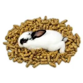 zwirek-drzewny-dla-kota-wypasiony-sprawdz-to-25l