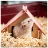 trociny-dla-gryzoni-15l-rodzaj-trociny