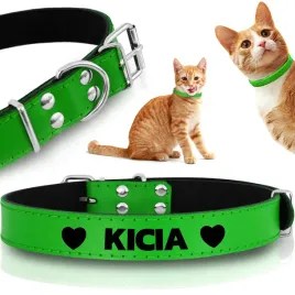 obroza-skorzana-do-kota-z-grawerem-grawer-18-25-xs