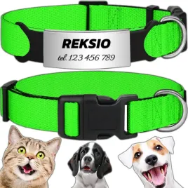 mocna-obroza-regulowana-dla-psa-indetyfikator-kot-pies-grawer-20-30cm-s