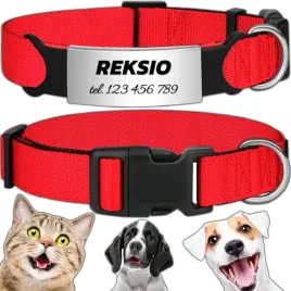 mocna-obroza-regulowana-dla-psa-indetyfikator-kot-pies-grawer-35-55cm-l