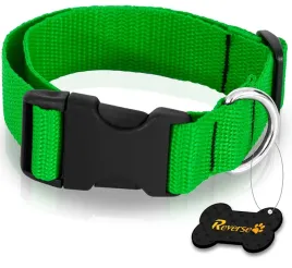 solidna-obroza-tasmowa-do-psa-regulowana-35-55cm-l