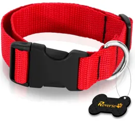 solidna-obroza-tasmowa-do-psa-regulowana-35-55cm-l