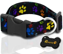 solidna-obroza-tasmowa-do-psa-regulowana-30-45cm-m