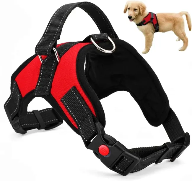 MOCNE SZELKI DLA PSA BEZUCISKOWE LEKKIE S 50-62 CM