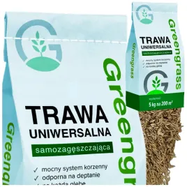 trawa-nasiona-uniwersalna-samozageszczajaca-wieloletni-trawnik-odporna-5-kg