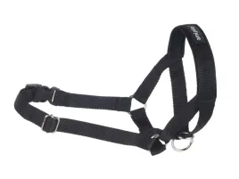 amiplay-obroza-uzdowa-halter-basic-m-czarna