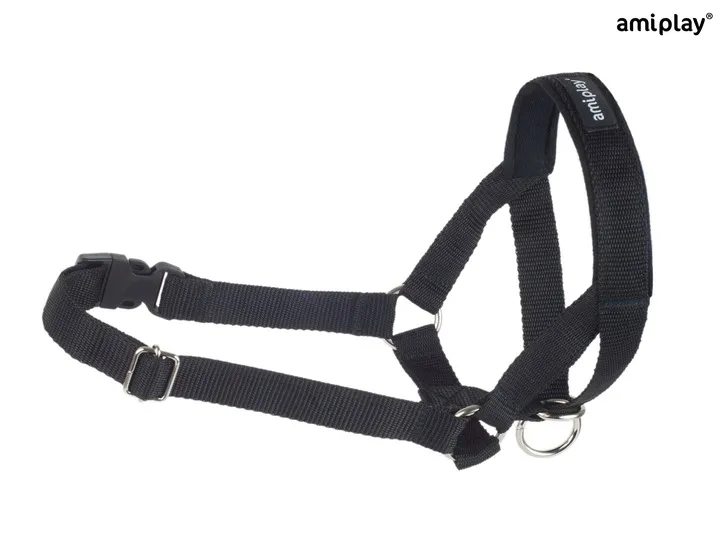 amiplay-obroza-uzdowa-halter-basic-m-czarna