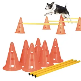 tor-przeszkod-pacholki-trening-szkolenie-psa-trixie-dog-activity