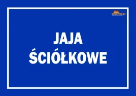 nr-59-jaja-sciolkowe-tablica-ostrzegawcza