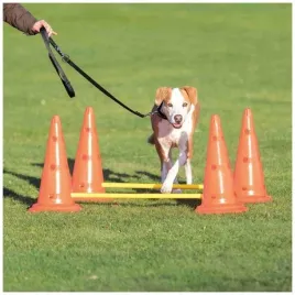 trixie-tor-przeszkod-dla-psa-zestaw-2-czesci-zabawka-treningowa