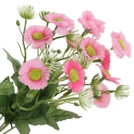 bukiet-kwiatow-stokrotki-rozowe-12-sztuk-kwiatki-wiosna-30-cm-stokrotka-roz