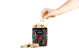 saszetka-na-smakolyki-smaczki-dla-psa-treserka