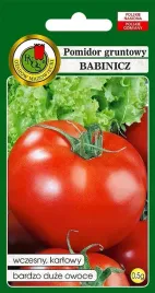 pomidor-babinicz-wczesny-plenny-karlowy-odporny-na-zaraze-nasiona-pnos