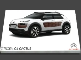 citroen-c4-cactus-nawigacja-radio-instrukcja-obsl
