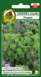 lebiodka-oregano-wieloletnia-ziola-aromatyczna-pachnaca-nasiona-pnos