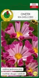 onetek-sea-shelles-red-05g-pelny-wabi-motyle-dlugo-kwitnie-nasiona-pnos