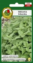 melisa-lekarska-03g-wieloletnia-ziola-aromatyczna-pachnaca-nasiona-pnos