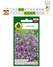 maciejka-przyjemnie-pachnaca-silnie-pachnie-fioletowa-3g-nasiona-pnos