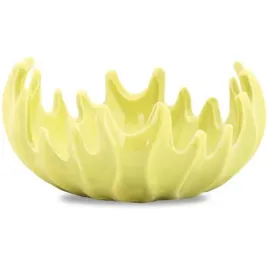 miska-koralowiec-niska-zielona