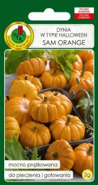 dynia-sam-orange-05g-mocno-prazkowana-05g-plenna-dyni-nasiona-pnos