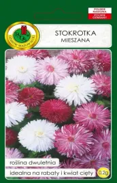 stokrotka-super-enorma-dwuletnia-mieszanka-kwiatow-nasiona-pnos