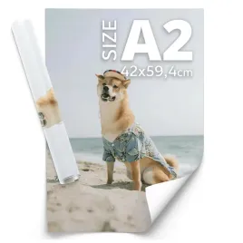 foto-plakat-a2-wydruk-z-twojego-zdjecia