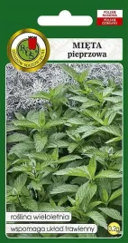 mieta-pieprzowa-02g-bylina-mega-aromatyczna-do-wody-plenna-nasiona-pnos