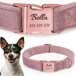 obroza-welurowa-grawer-dla-psa-regulowana-miekka-rose-gold-z-gawerem-s-m