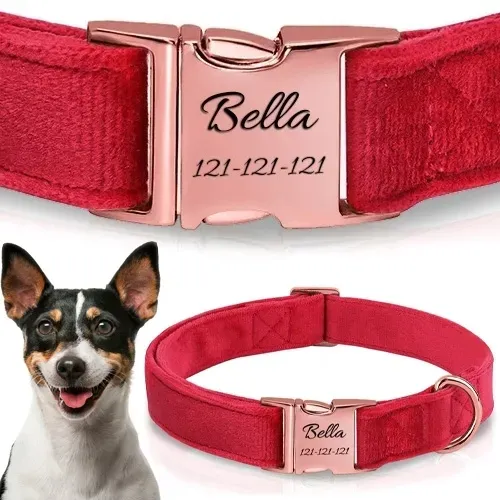 OBROŻA WELUROWA GRAWER DLA PSA REGULOWANA MIĘKKA ROSE GOLD Z GAWEREM S/M