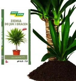 ziemia-eko-do-palm-dracen-juk-5l-torf-glinka-ph-6-7
