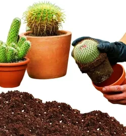 ziemia-do-kaktusow-gotowa-mieszanka-podloze-do-sukulentow-i-kaktusow-5l