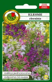 kleome-ciernista-mieszana-miododajna-jednoroczna-odporna-nasiona-pnos