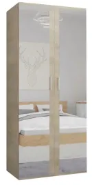 szafa-ii-80-cm-x-48-cmx192cm-dab-sonoma-2-lustra