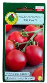 pomidor-szklarniowy-palava-f1-1g-plenny-odporny-na-choroby-nasiona-pnos