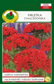 firletka-chalcedonska-szkarlatna-wieloletni-na-kwietniki-nasiona-pnos