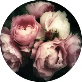 fototapeta-samoprzylepna-okragla-naklejka-scienna-piwonie-peonie-kwiaty