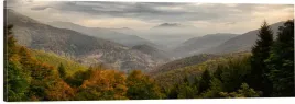 obraz-na-plotnie-panoramiczny-do-salonu-las-jesien-gory-natura-90x30