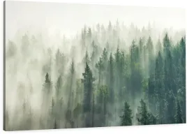 obraz-na-plotnie-do-sypialni-salonu-mglisty-las-natura-mgla-120x80